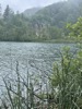 resIMG_20220608_124005_IMG_8567_HEIC.jpg